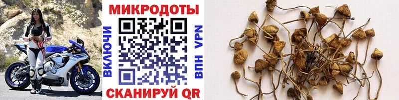 хочу   KRAKEN сайт  Псилоцибиновые грибы Cubensis  Чита 