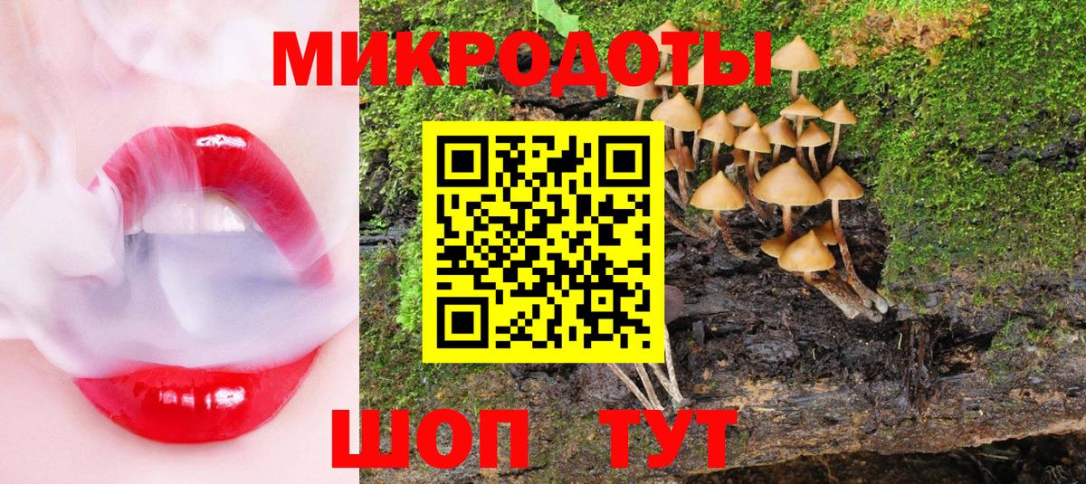 Чита  Галлюциногенные грибы MAGIC MUSHROOMS  Вход с VPN 