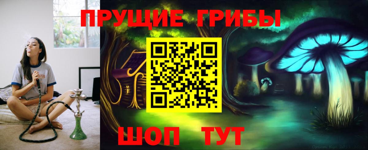 Псилоцибиновые грибы Psilocybine cubensis Чита